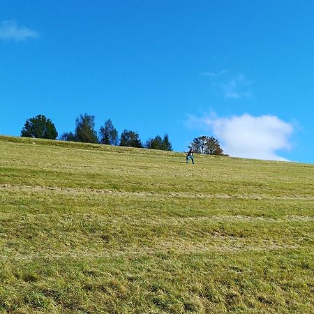 ホテル Prazova Bouda Dobré エクステリア 写真